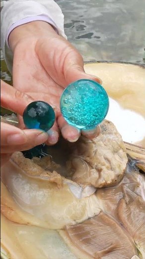 Unexpected Find: Girl Uncovers Mutant Clams with Jewels
