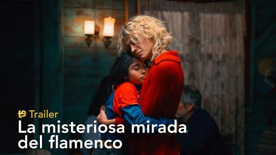 La misteriosa mirada del flamenco - trailer