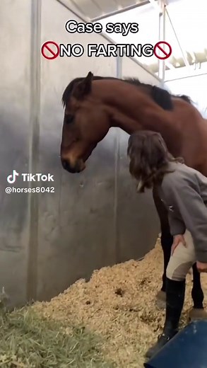 NO FARTING!😂 @eq_luby #horse #viral #viralhorse #fyp #horses #equestrian #horsesoftiktok #equestrianlife #fypシ #cutehorses #fart #no