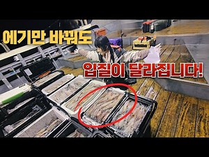 이곳엔 엄청난 한치대군이 들어왔습니다. "에기만 바꿨는데 한치 입질이 다르다고?! 😱"