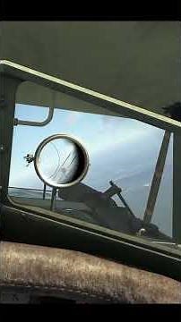 SSW D.IV Downed And Bailed #gaming #trackir5 #flyingcircus #dogfight