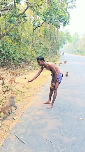 Money prank #monkeys #monkeydluffy #followersreelsfypシ゚viralシfypシ゚viralシalシ | Food Ranger