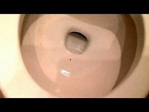 5 YEAR OLD POOP IN THIS TOILET! REAL!