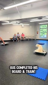 Gus just wrapped up his training and did an awesome job! This happy guy made great progress, and we’re excited to see him continue putting those new skills to use at home. Way to go, Gus! #RuckerDogTraining #BoardAndTrain #GoodBoyGus #SmartPup #TrainYourDog #ObedienceTraining #RuckerPup #DogTrainingSuccess | Rucker Dog Training