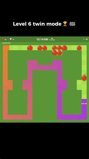Player Beats Level 6 in Twin mode after Hours of Attempts