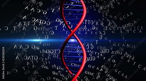 video animation of DNA helix with nitrogenous bases 4K