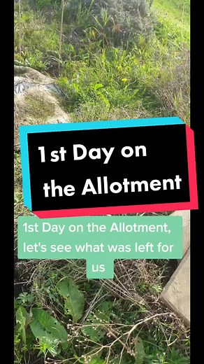 Bring on Day 2 👩‍🌾 #allotmentuk #allotmentlife #allotments #garden #plants