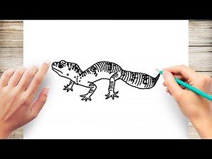 How to Draw A Realistic Gecko