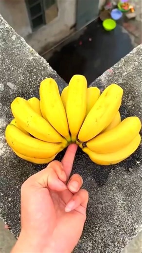 Experiment: will a watermelon explode if it rolls off a tall building? 💥🍉#shorts