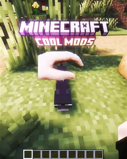 Crazy Minecraft mods 😎