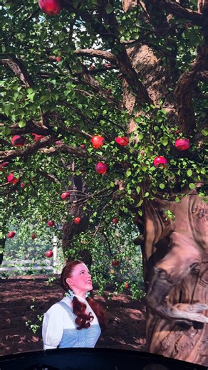 Radley Brooks on Reels