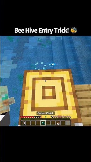 Minecraft I Entered the Bee Hive Using a Secret Trick! 🐝