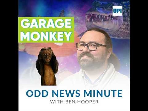 Crocodile found hundreds of miles from home in Australia