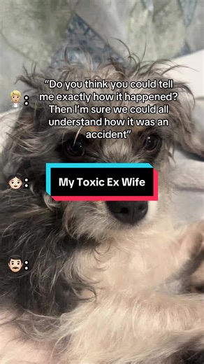 Understanding Parental Alienation in Family Dynamics