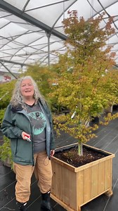 13K views · 152 reactions | To Prune or Not to Prune? August Shrub...