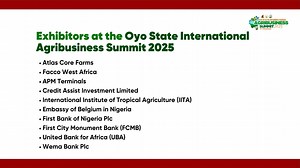 2.9K views · 60 reactions | Days 1 and 2 of the Oyo State...