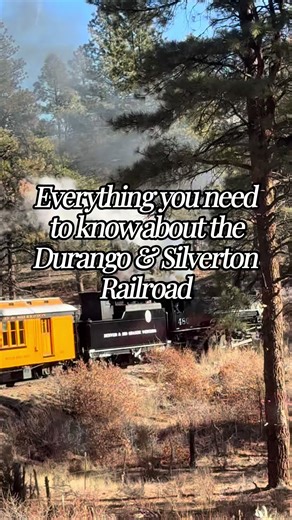 Discover the Durango Railroad Train Experience