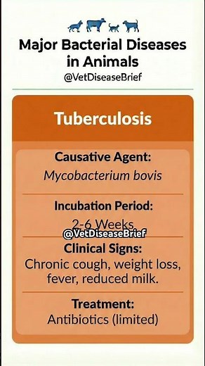 Major Bacterial Diseases in Animals: A Quick Guide