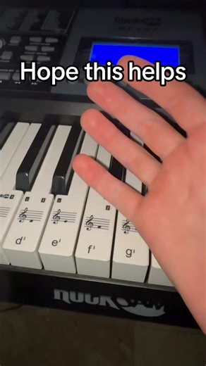 Piano# how to play netted on piano# music# instiments# for you# for me