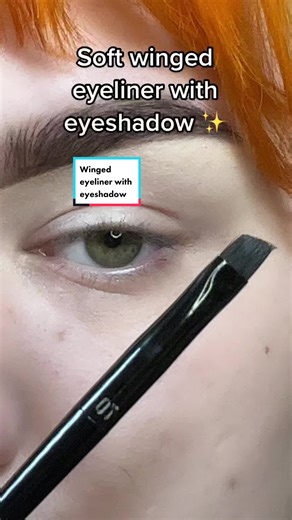 Soft Winged Eyeliner Tutorial with Eyeshadow