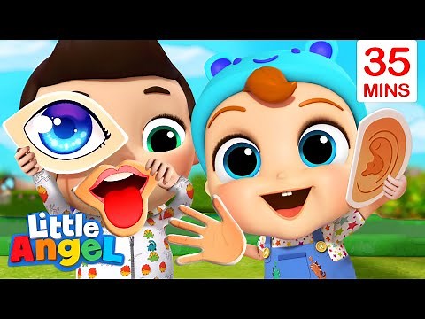My Five Senses Song + More Little Angel Kids Songs & Nursery Rhymes