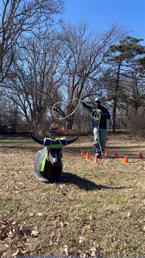 First two clips is when I first started you can see progress on the last two clips #rodeo#teamroping