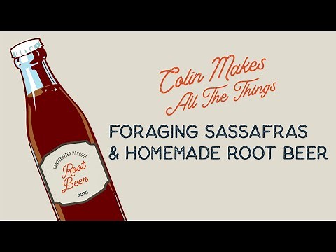 How to Make Homemade Root Beer with Foraged Sassafras