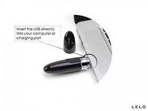 How to use the Lelo Mia 2