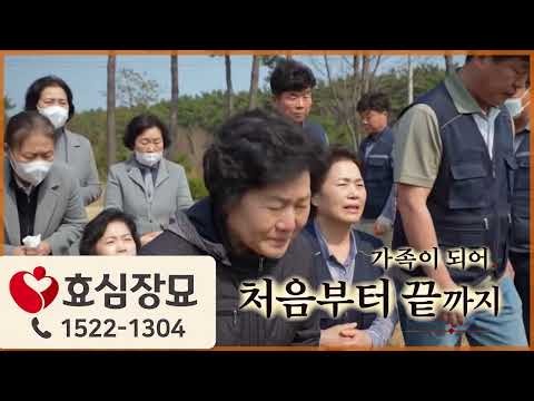 효심장묘 | 묘지관리 전문