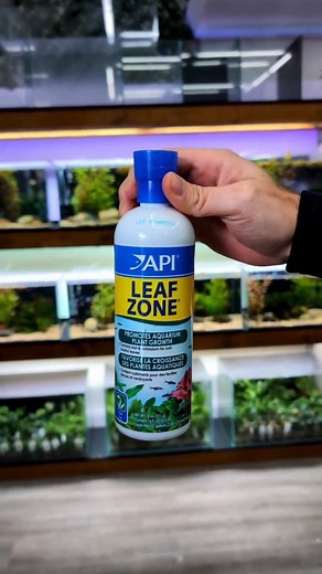 Dose LEAF ZONE™ to keep your plants thriving just like @md_fishtanks! | API Fishcare