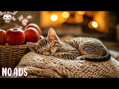 Comforting Music for Cats 🐱 Soothing Sleep Sounds for Stress Relief, Relaxation & Peaceful Sleep