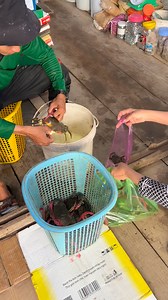 dưới Năm Căn chị em phụ nữ là chạy xuồng máy ầm ầm luôn em Hai nhìn là chịu thua luôn mấy anh chị ơi #emhainamcan | Em Hai Năm Căn