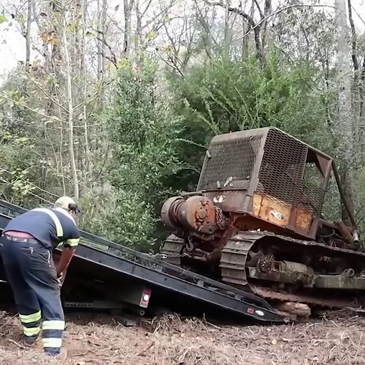 Dozer Stuck in the Woods for 30 Years