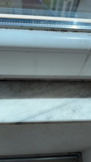 Effective Window Sill Cleaning with Ecolab Citrus Solution