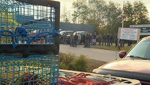N.S. lobster fishermen protesting outside DFO offices against illegal poaching