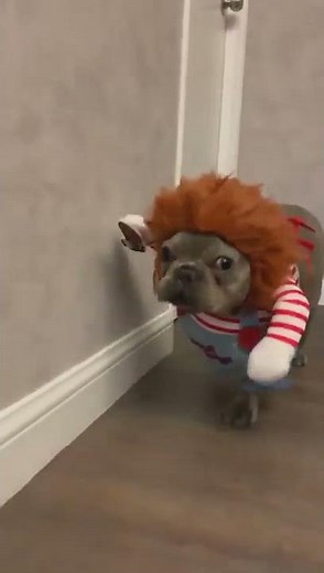 DOG DEADLY DOLL HALLOWEEN COSTUME---DOG WITH KNIFE COSTUME