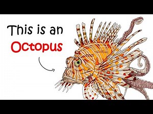 Mimic Octopus: The Sea Creature That Stumped Scientists