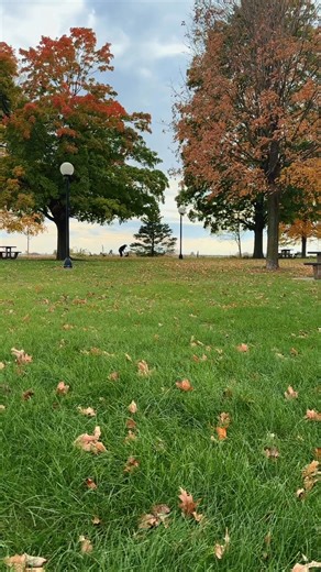 Long days driving mean fun potty breaks. We are on our way to an agility clinic, an ISC trial, and herding lessons! | The WOW Chronicles