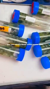 201 reactions · 15 shares | This isn’t a lecture or a demo. It’s two...