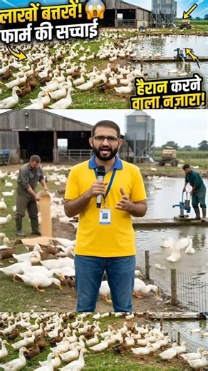 Live Reporting from a Duck Farm! So Many Ducks 🦆😲
