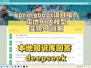 Spring boot vue项目接入本地部署的AI大模型，实现本地知识库回答，AI客服