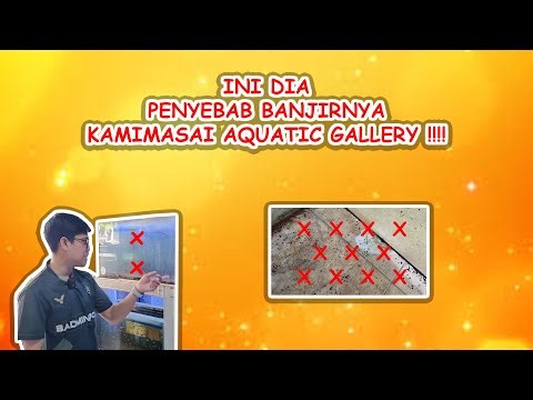 PENANGANAN PERTAMA PADA AQUARIUM BOCOR !!! HARUS CEK DULU KERUSAKAN NYA NIH !!!