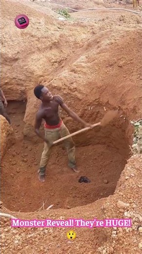 Shovel Fail! Watch This Guy's Epic Miss Gone WRONG! #DIYFail #FunnyMoments #LaughOutLoud 🤦‍♂️⛏️🤣
