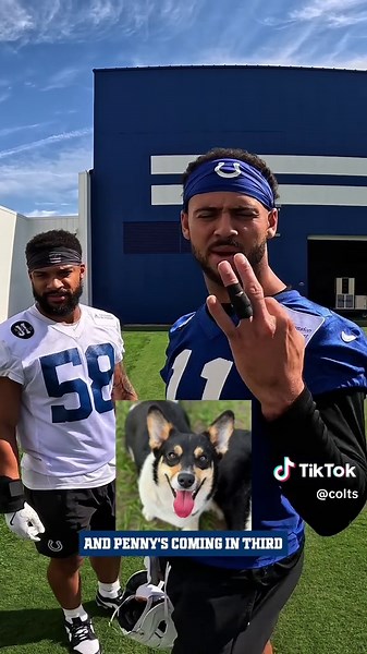 Corgi Stampede: Exciting NFL Halftime Race