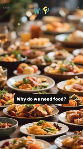 Why do we need food?