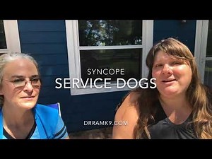 About syncope service dogs / pots / dysautonomia