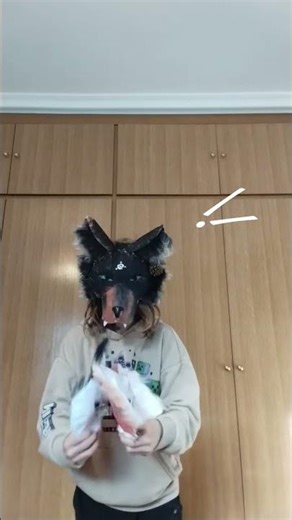 Do you like the Japanese cat mask I made? #anime