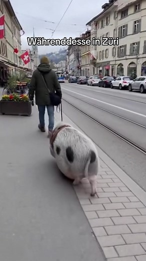 #szeneischzüri