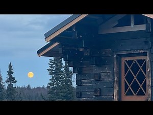 Alaskan Square Log Butt&Pass Cabin Build! #alaska #squarelogcabin #butt&passlogs