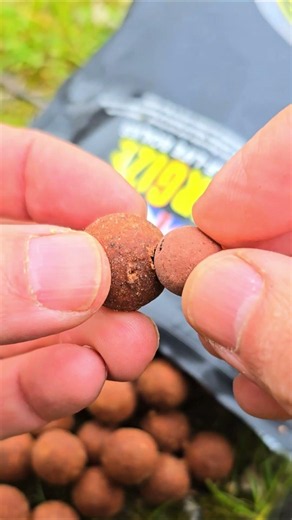 Added Attraction - Carp Fishing Edges